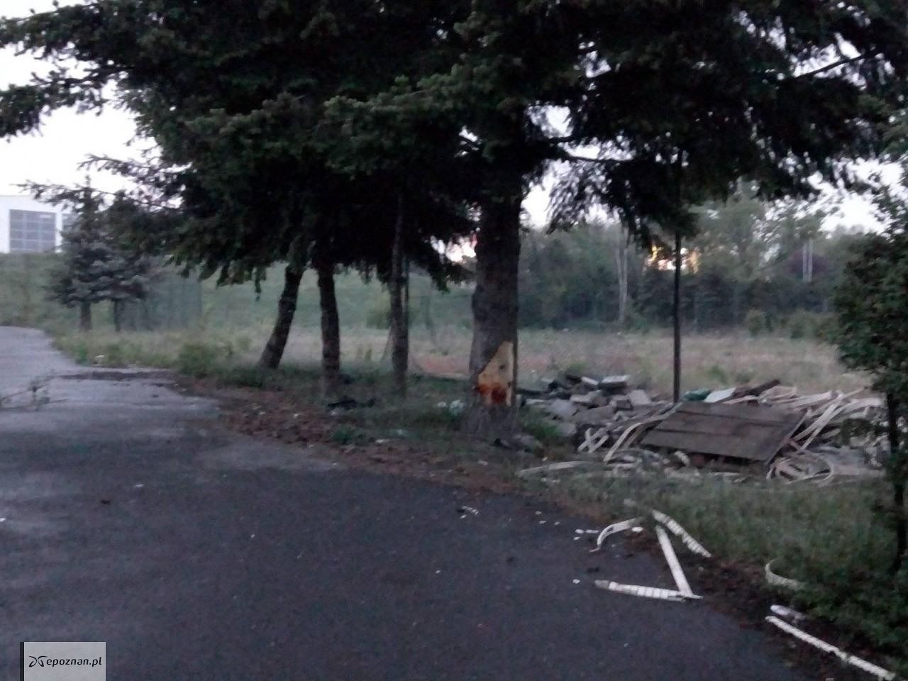 fot. Czytelnik