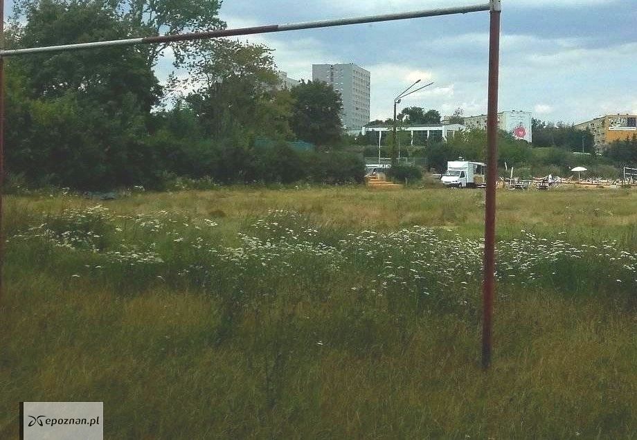 fot. Czytelnik