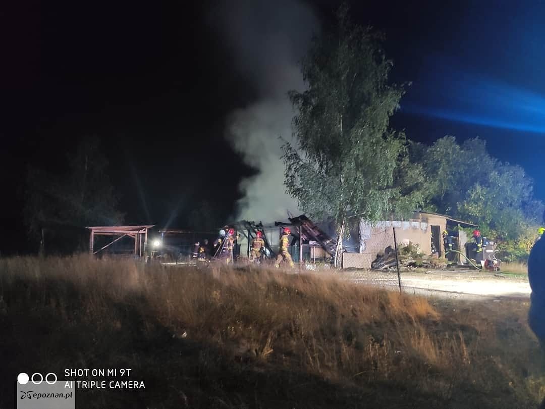 fot. Czytelnik