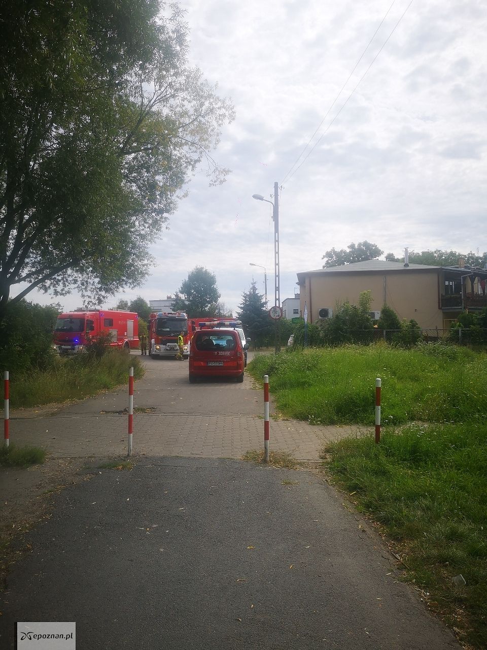 Czytelnik