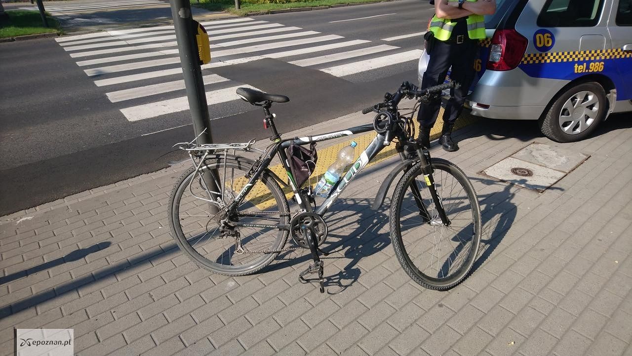 fot. Straż miejska