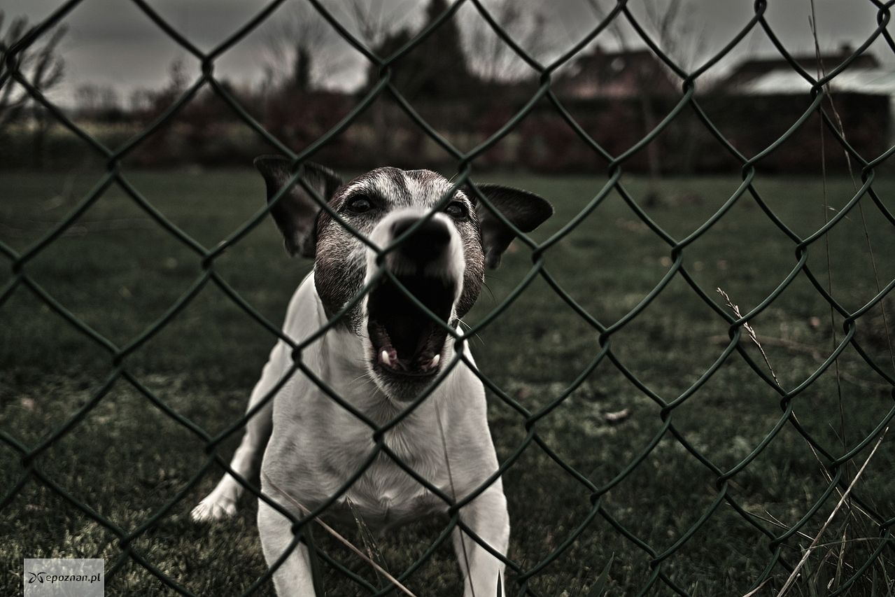 Zdjęcie ilustracyjne | fot. dimitri_c / freeimages.com