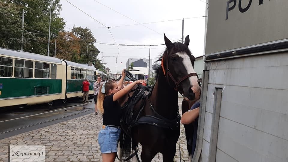 fot. MPK Poznań Sp. z o.o. / FB