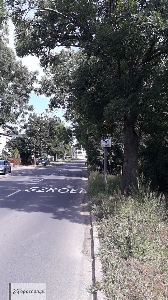 fot. Straż Miejska