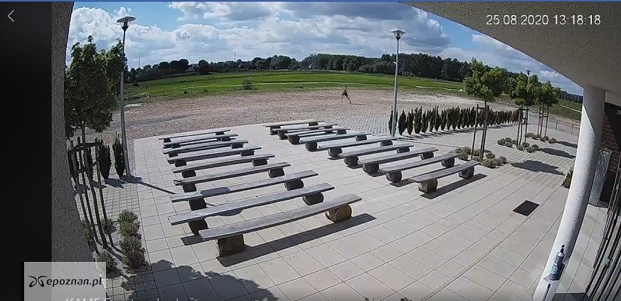 Probosz rusza w pościg za złodziejami | fot. Archidiecezja Poznańska