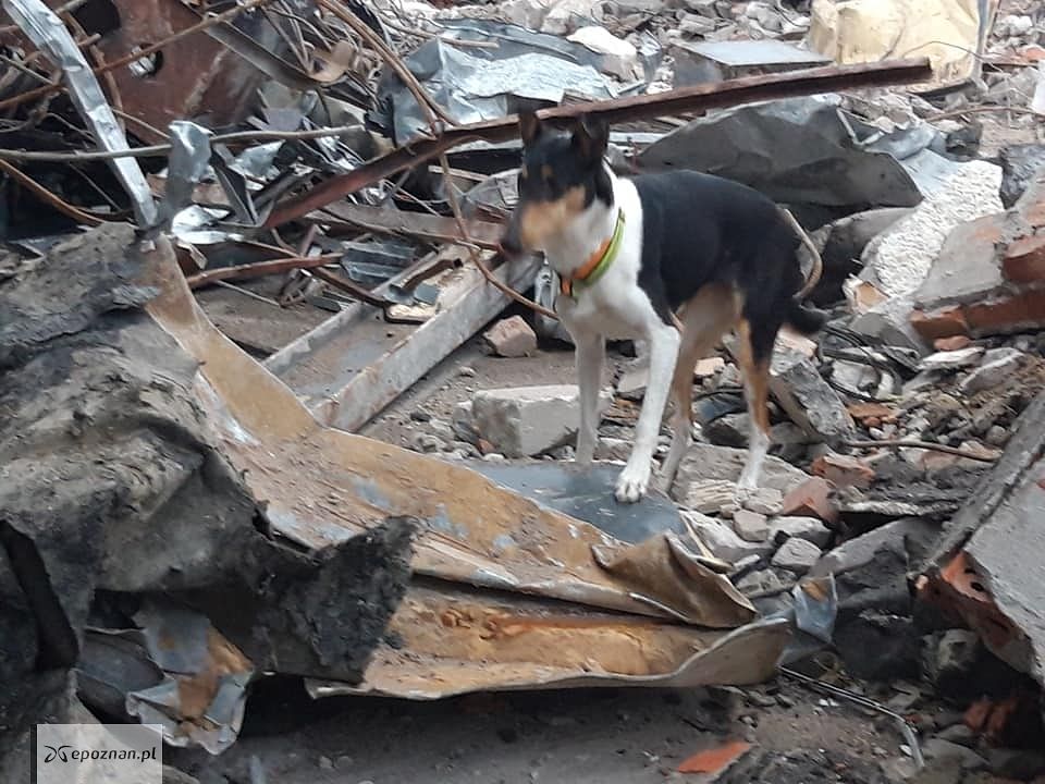 fot. Międzynarodowe Targi Poznańskie / FB