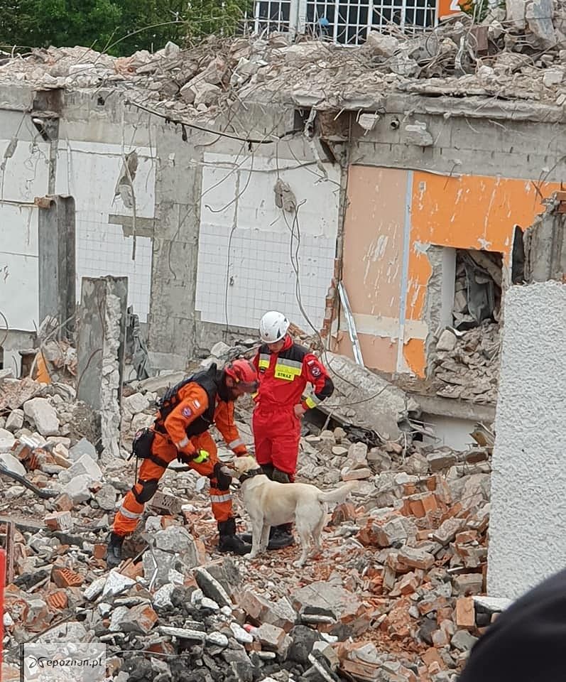 fot. Międzynarodowe Targi Poznańskie / FB