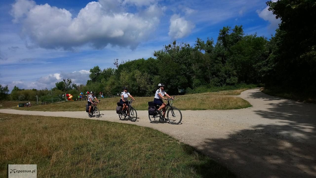 fot. Straż Miejska