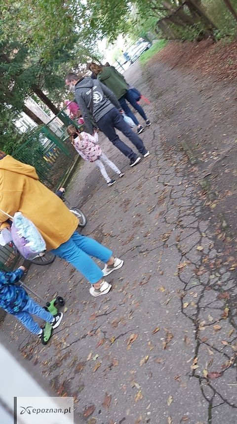 fot. Adrianna