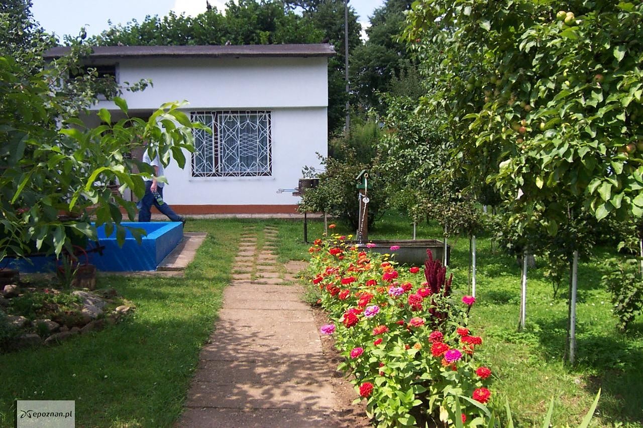 fot. By jofwooster, CC BY-SA 3.0, https://commons.wikimedia.org/w/index.php?curid=46516769