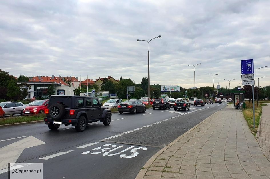 fot. UM Poznań