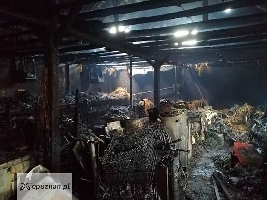 fot. KP PSP Grodzisk Wielkopolski