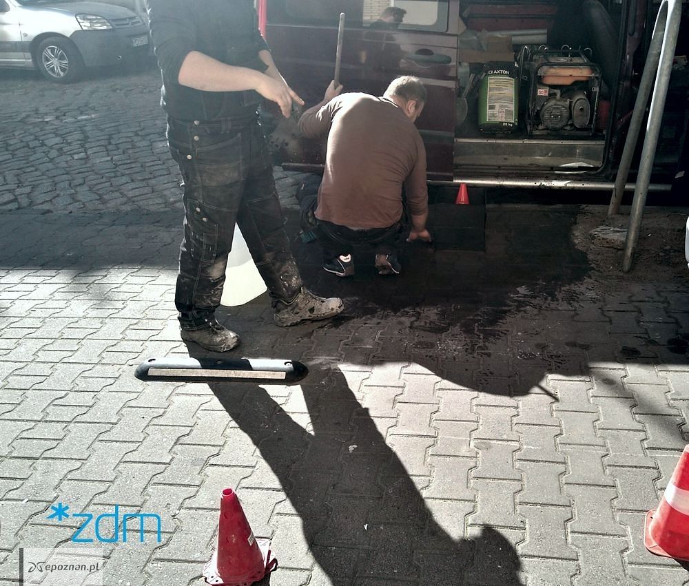 fot. ZDM
