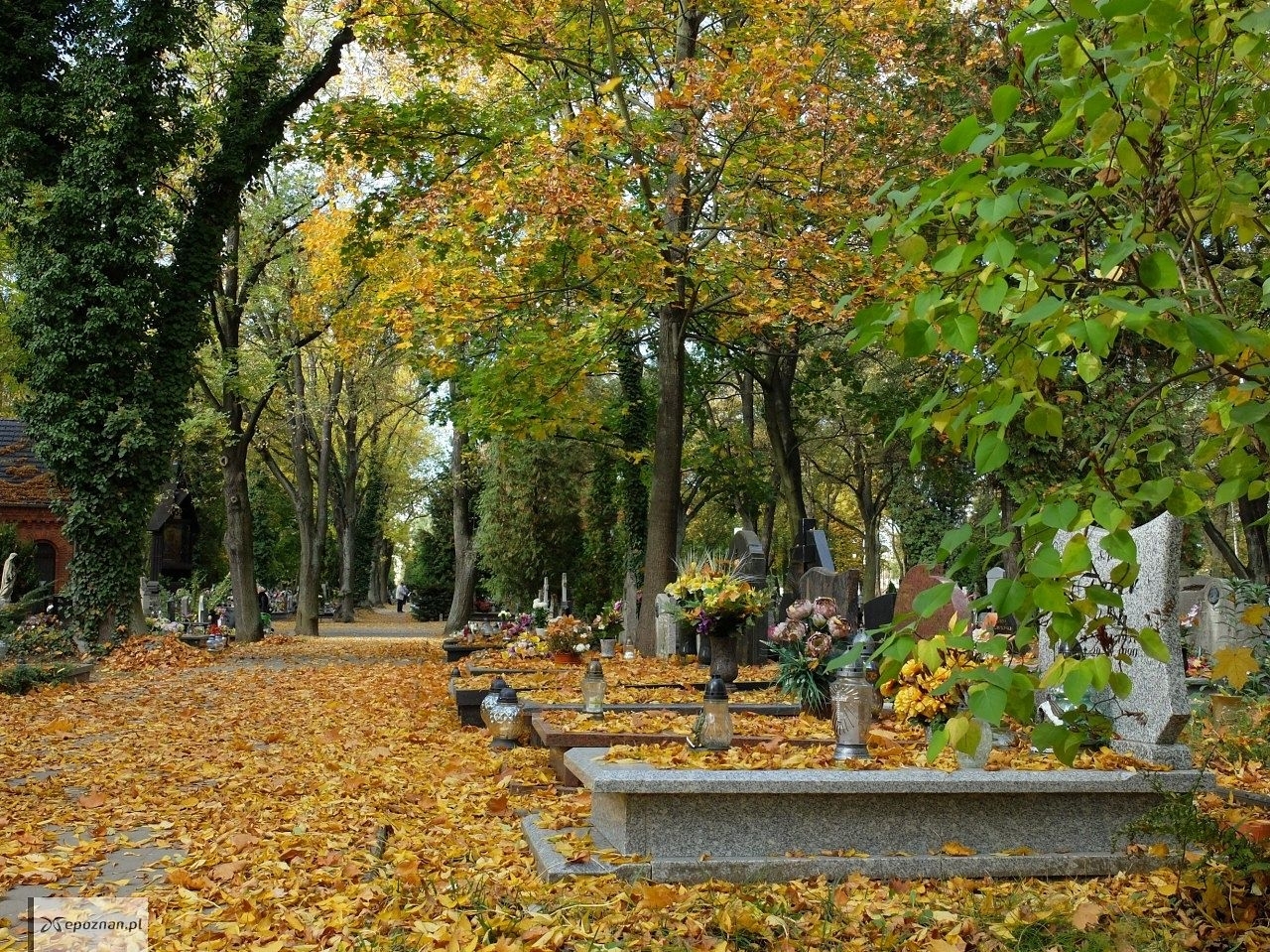 fot. GEOPOZ / archiwum