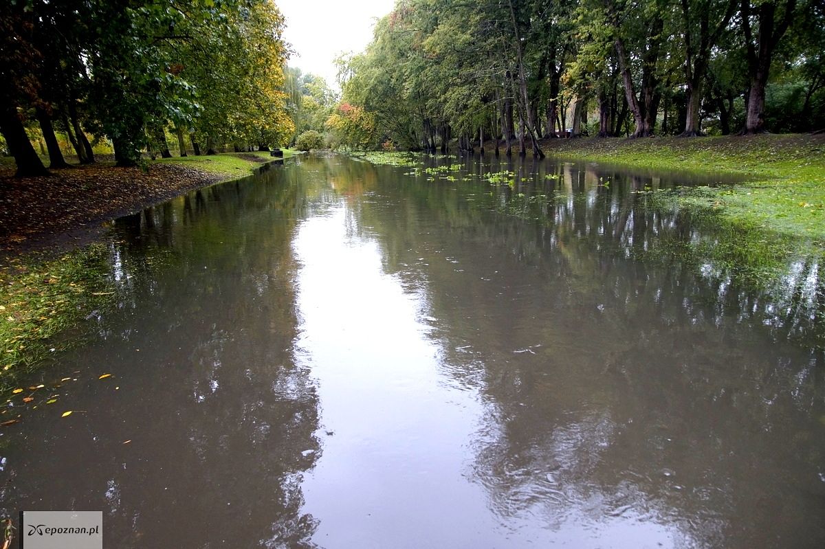 fot. Włodzimierz Hoppel