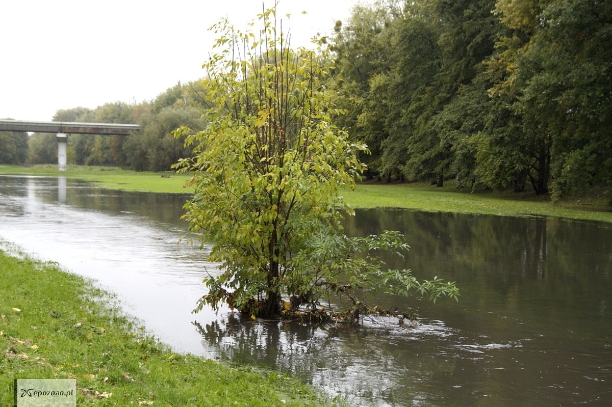 fot. Włodzimierz Hoppel