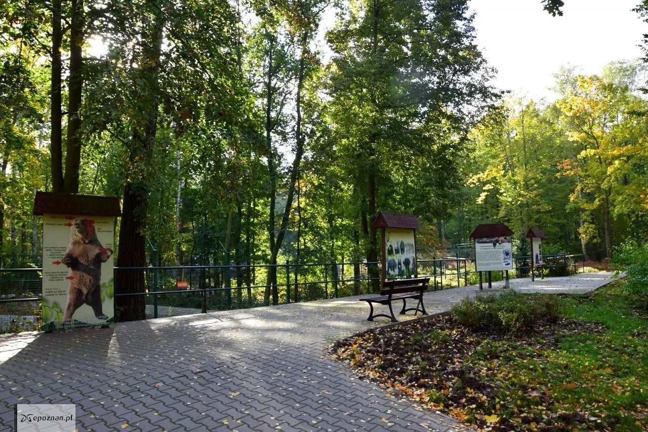 fot. ZOO Poznań Official / Facebook
