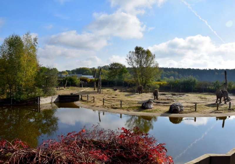 fot. ZOO Poznań Official / Facebook
