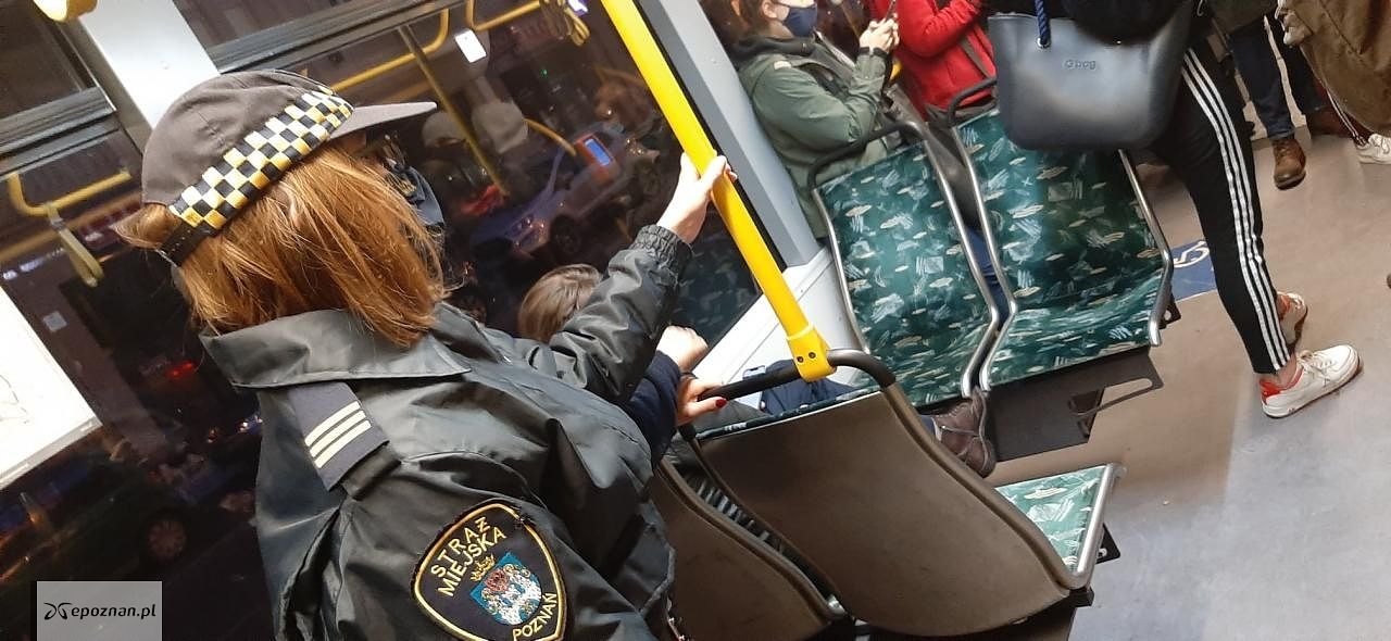 fot. SM