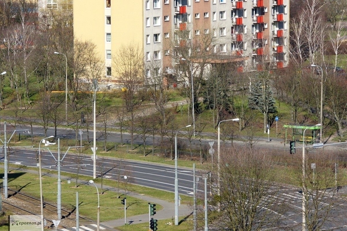 fot. Włodzimierz Hoppel