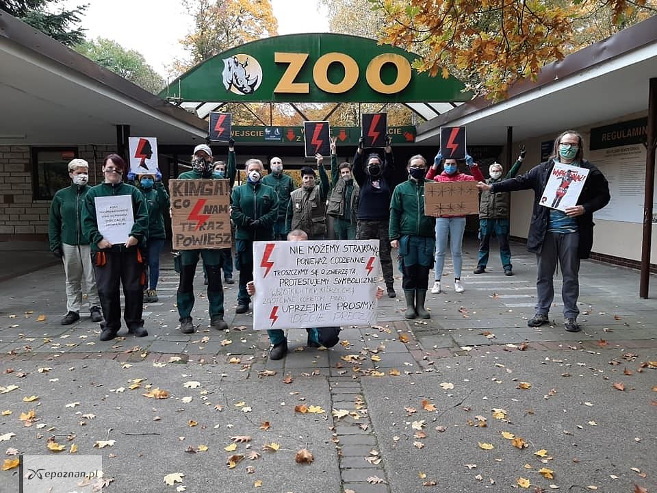 fot. Zoo Poznań Official Site / Facebook