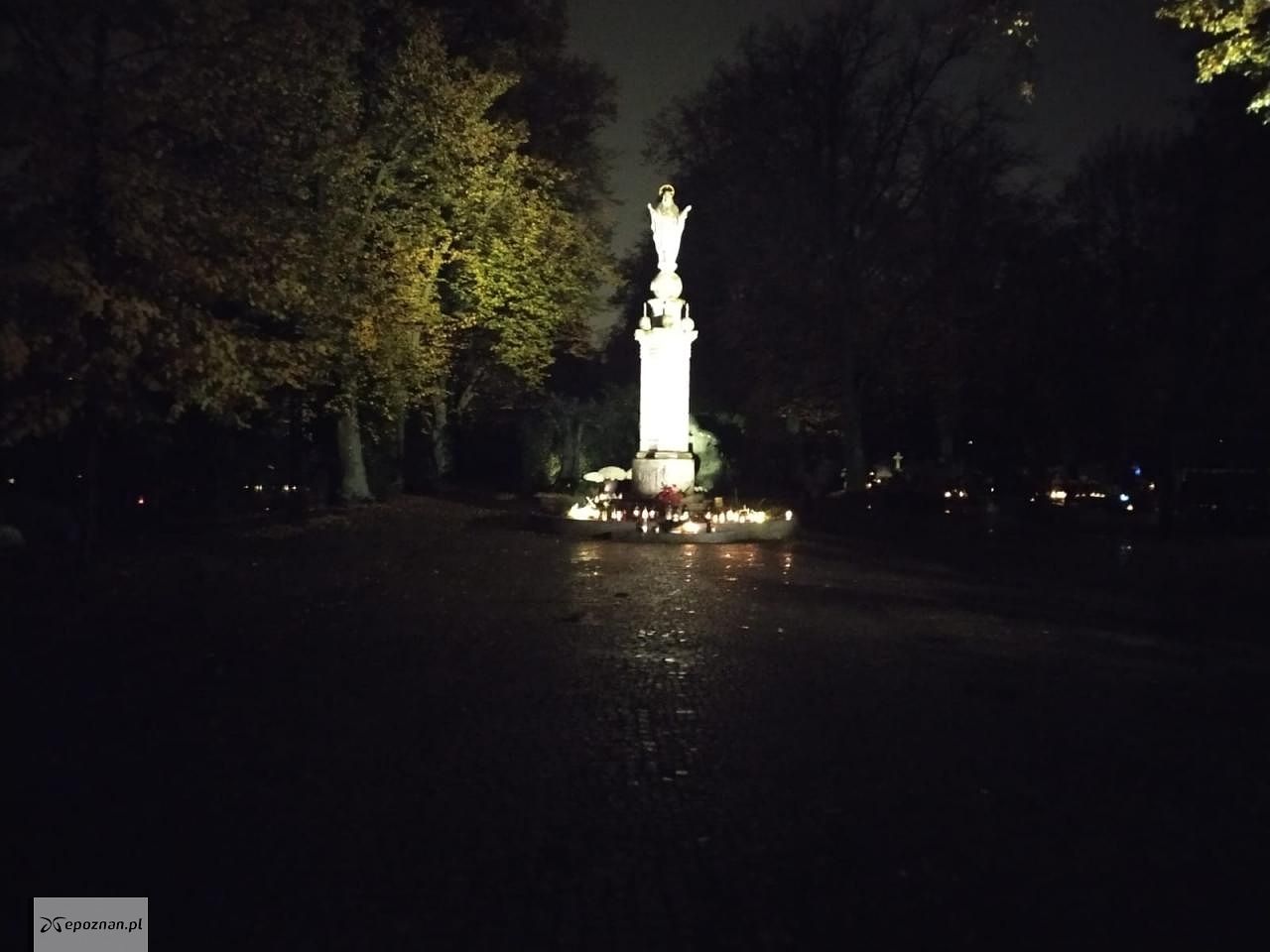 Cmentarz przy ul. Nowina | fot. Szymon