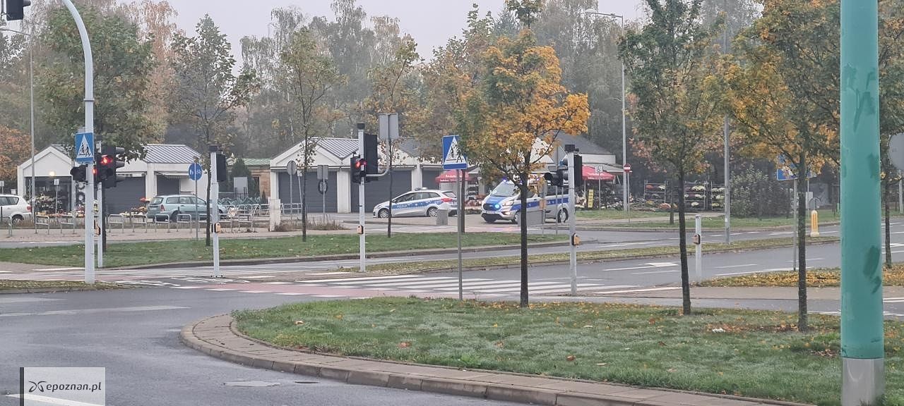 Cmentarz na Junikowie | fot. Marcin Taszer