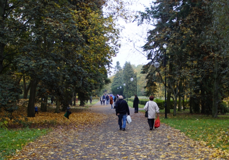 fot. Włodzimierz Hoppel