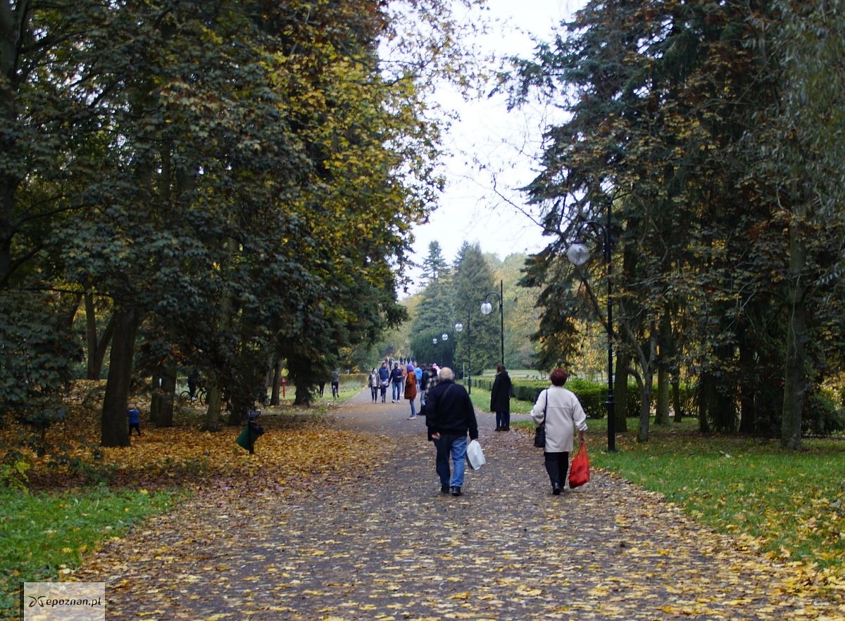 fot. Włodzimierz Hoppel