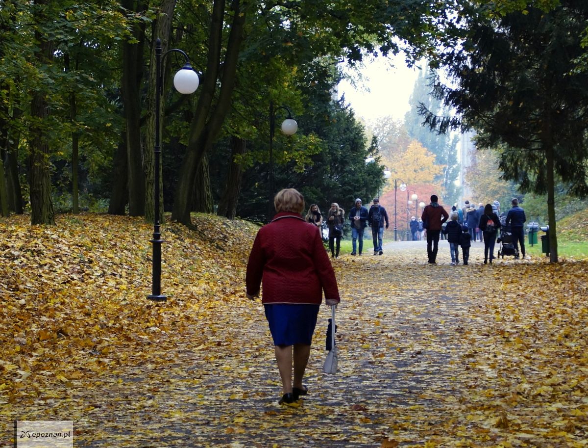 fot. Włodzimierz Hoppel