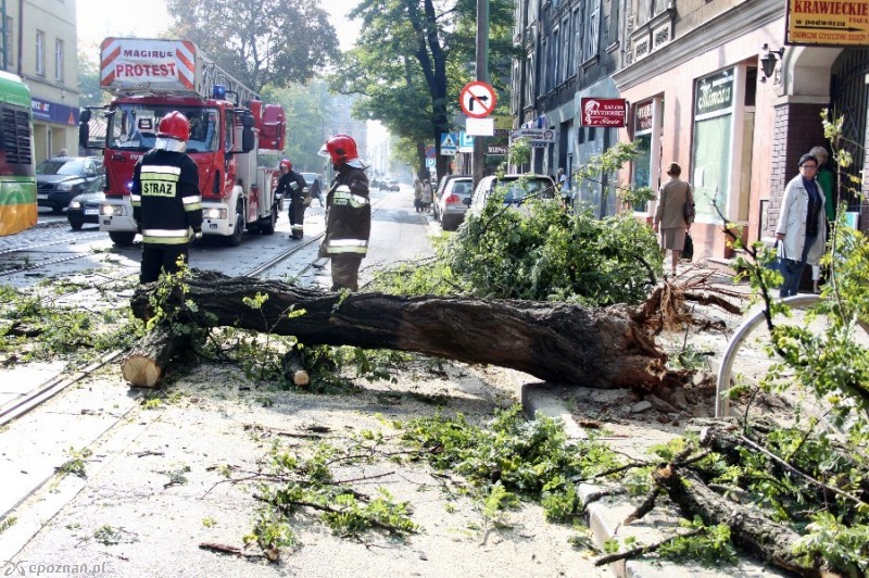 fot. Elżbieta Skowron