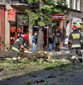 fot. Elżbieta Skowron