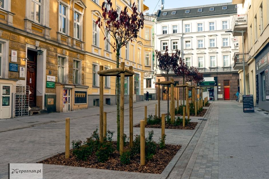fot. UM Poznań