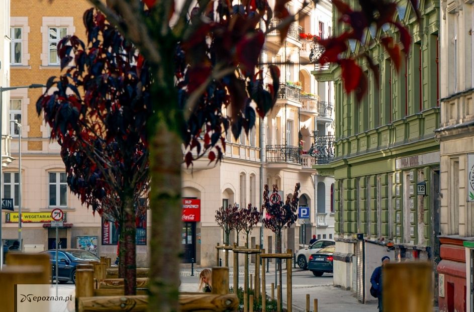 fot. UM Poznań