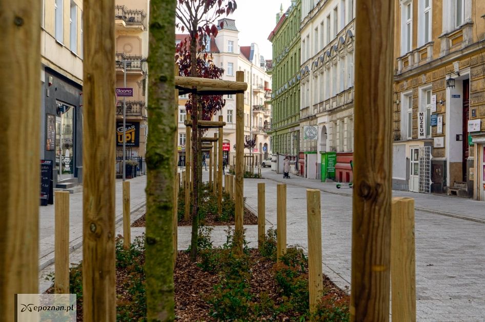 fot. UM Poznań