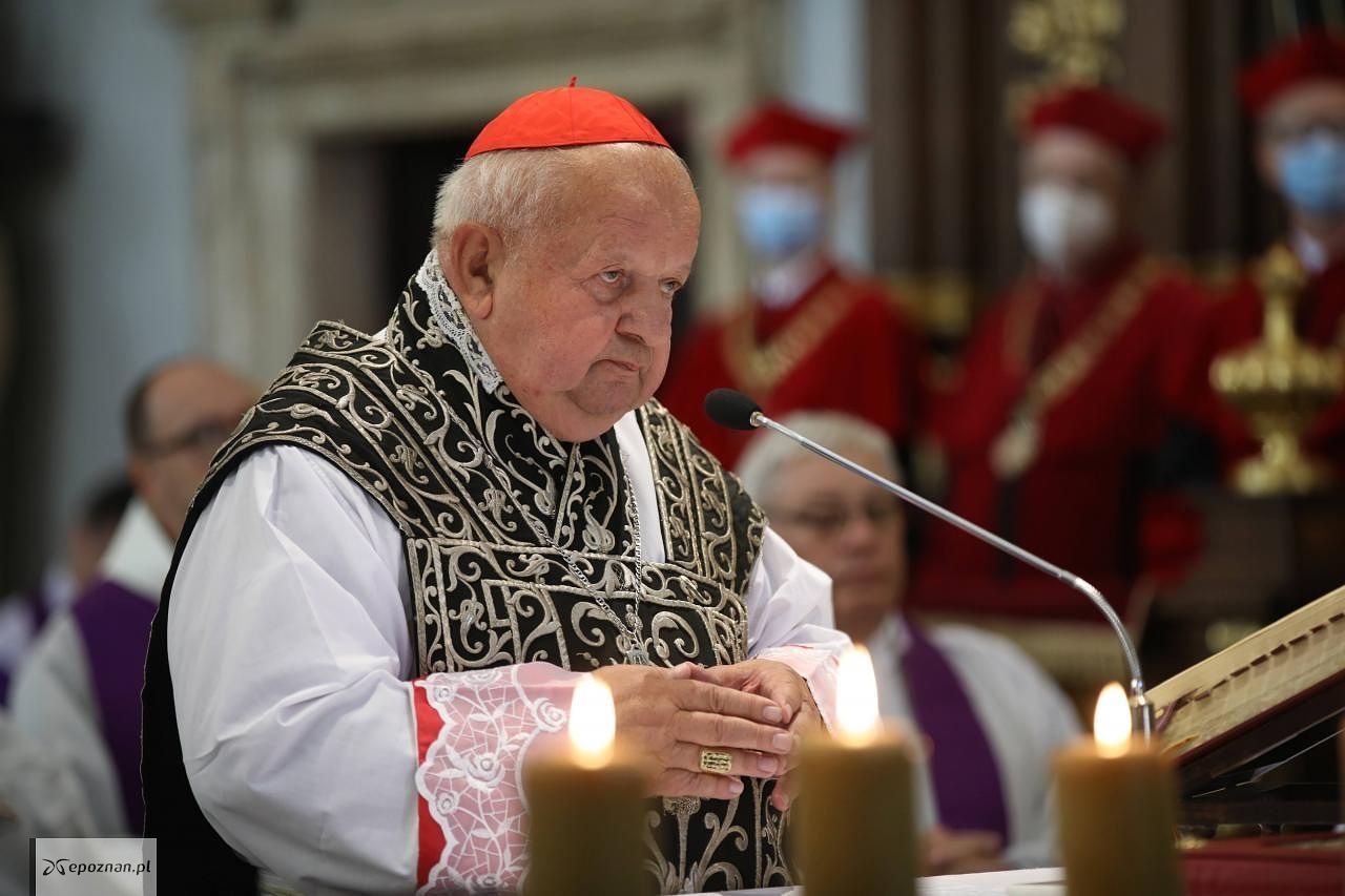 fot. PAP/Łukasz Gągulski