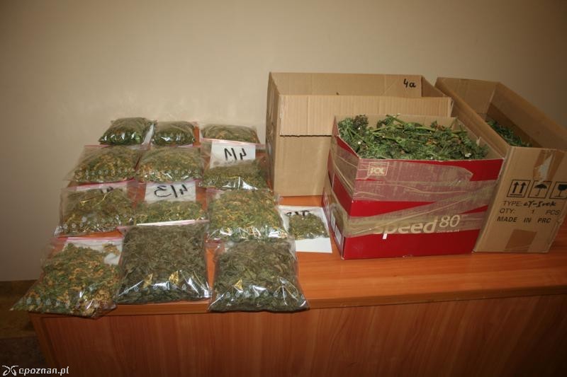 fot. policja