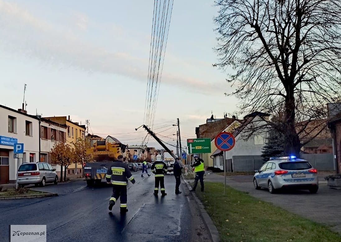 fot. A. Nowacki / policja Grodzisk Wlkp.
