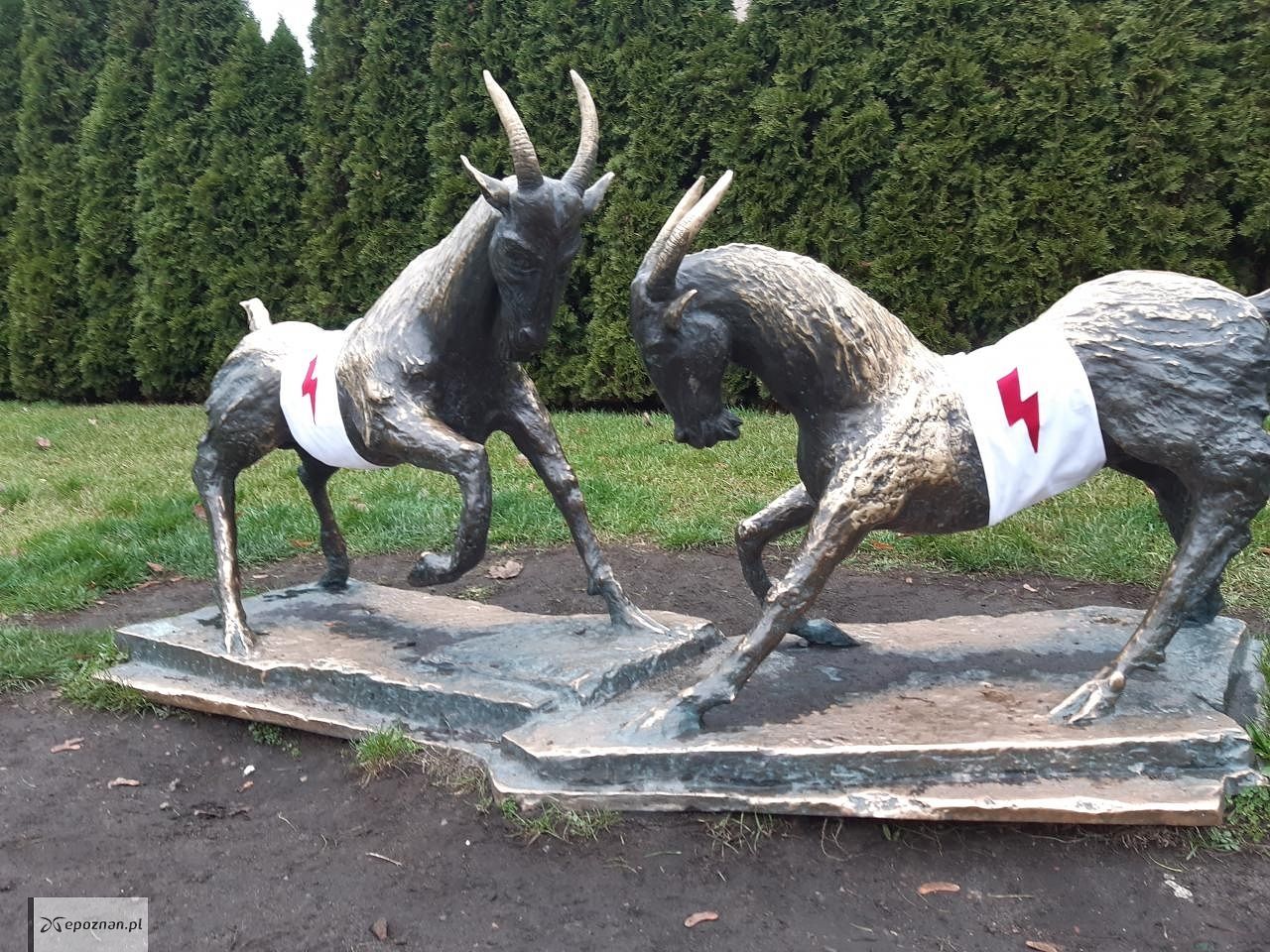 fot. Czytelniczka