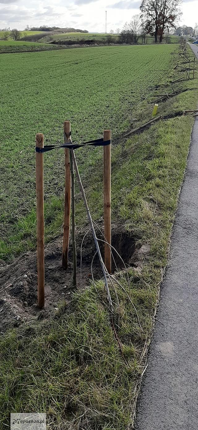 fot. Straż miejska Wyrzysk