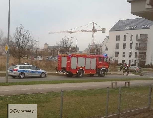 fot. Arkadiusz