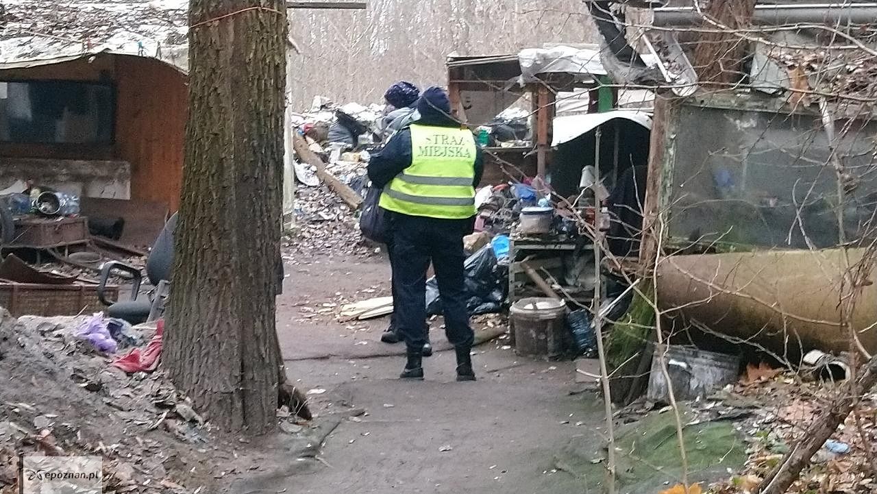 fot. Straż miejska
