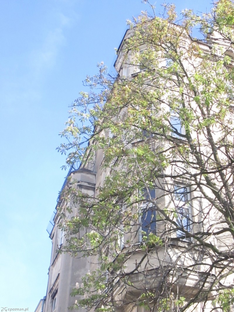 fot. Nishio Poznań