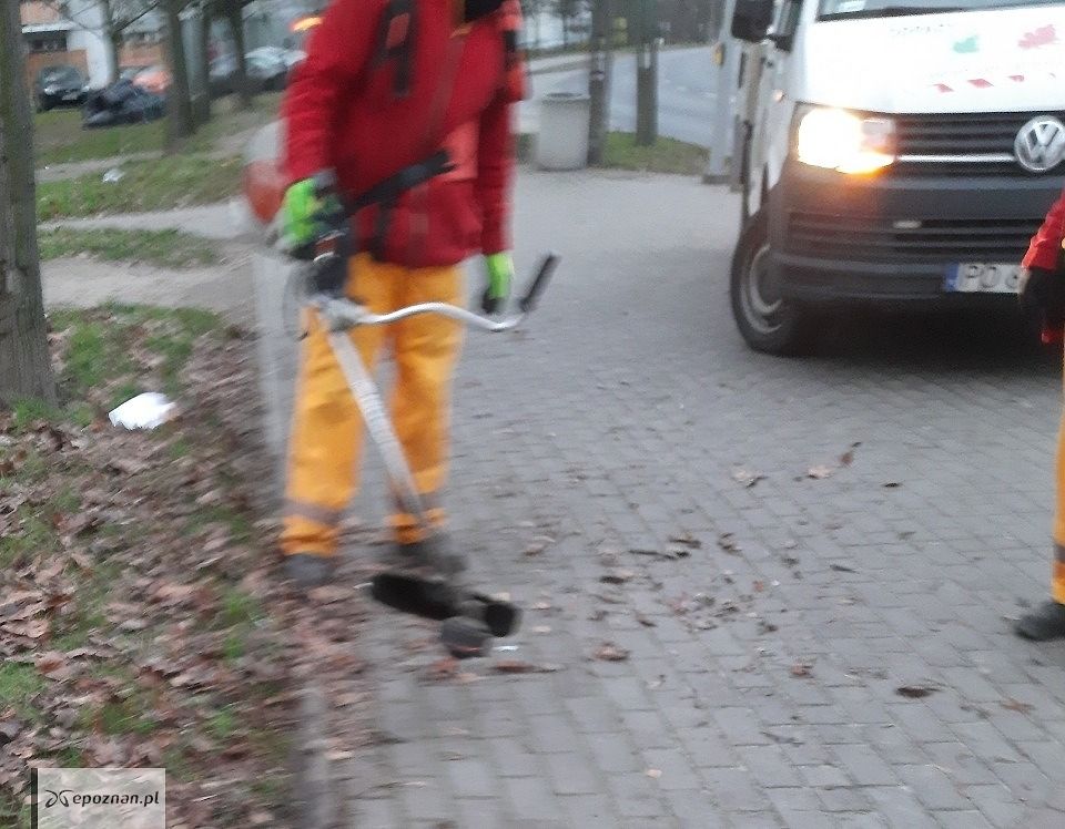 fot. Czytelniczka