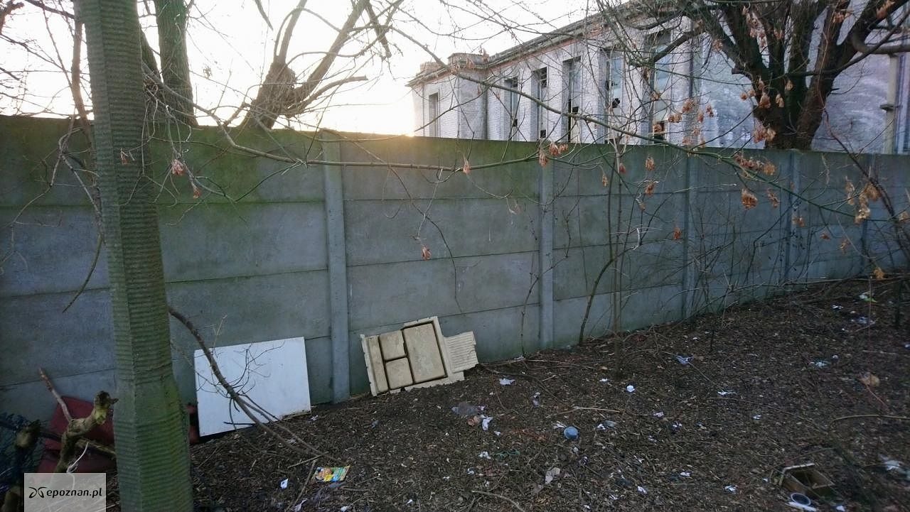fot. Straż miejska