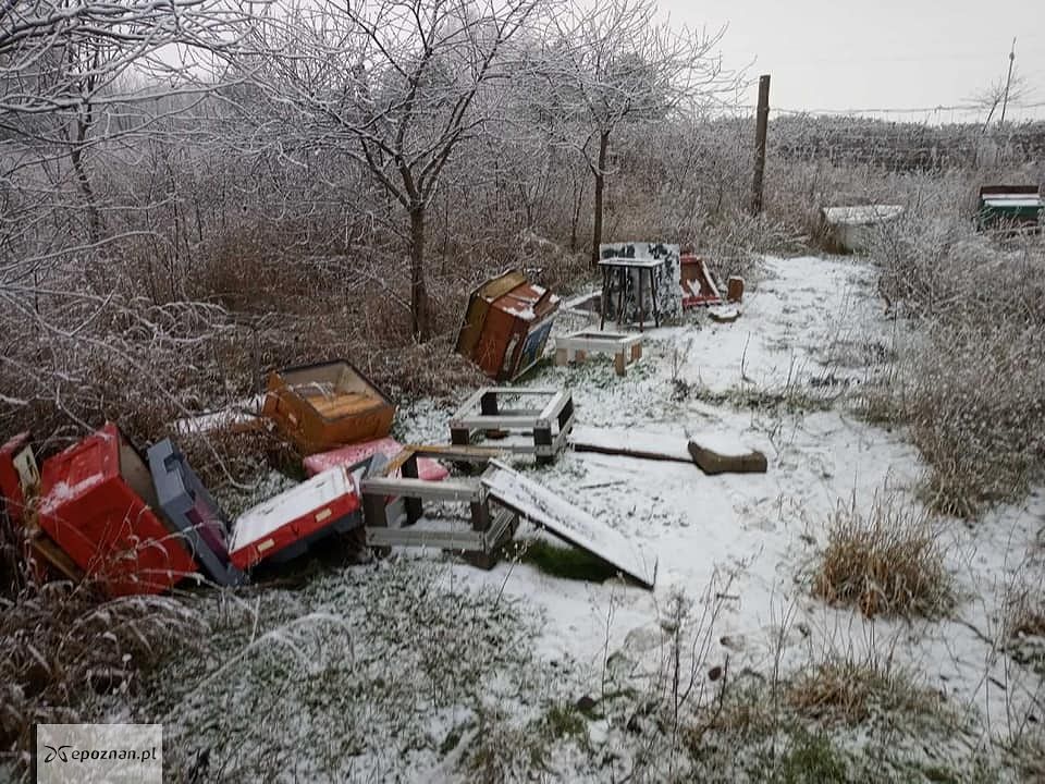 fot. zrzutka.pl