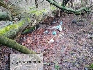 fot. Wody Polskie