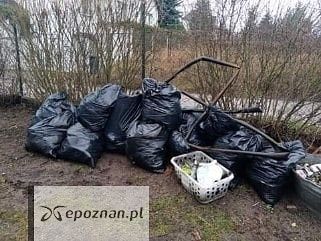 fot. Wody Polskie