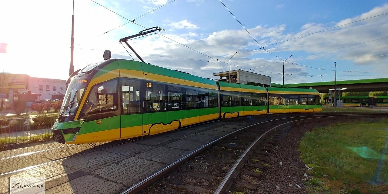 Moderus Gamma w barwach MPK Poznań | fot. Czytelnik