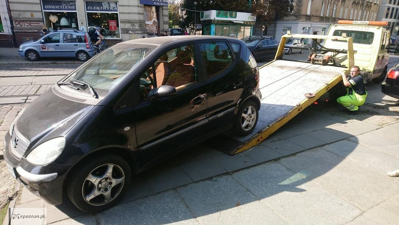 fot. Straż miejska